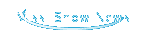Missi Show News