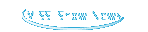 MISSI Show News