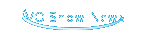 EVO Show News 