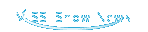 MISSI Show News