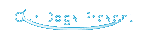 Our Dogs Present